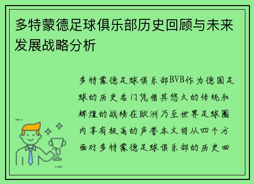 多特蒙德足球俱乐部历史回顾与未来发展战略分析