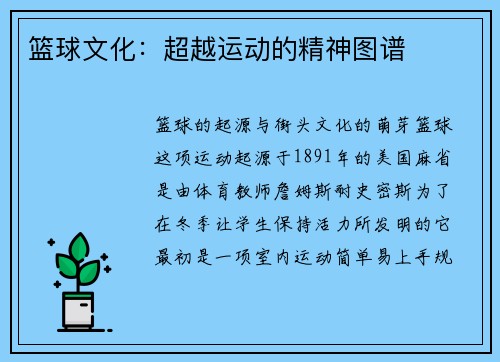 篮球文化：超越运动的精神图谱