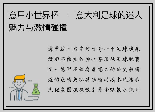 意甲小世界杯——意大利足球的迷人魅力与激情碰撞