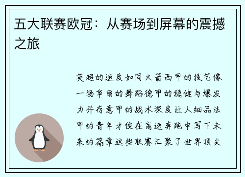 五大联赛欧冠：从赛场到屏幕的震撼之旅